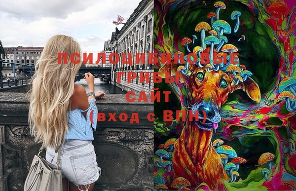 тгк Абаза