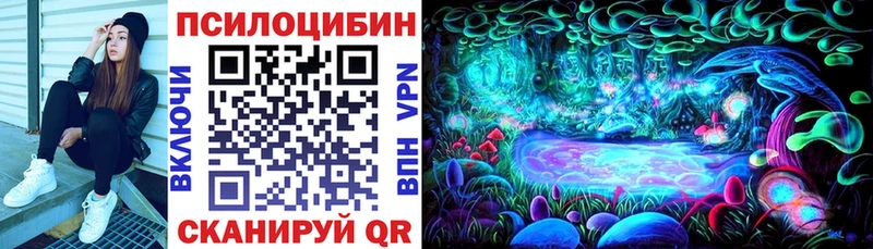 Псилоцибиновые грибы Psilocybine cubensis Дубна